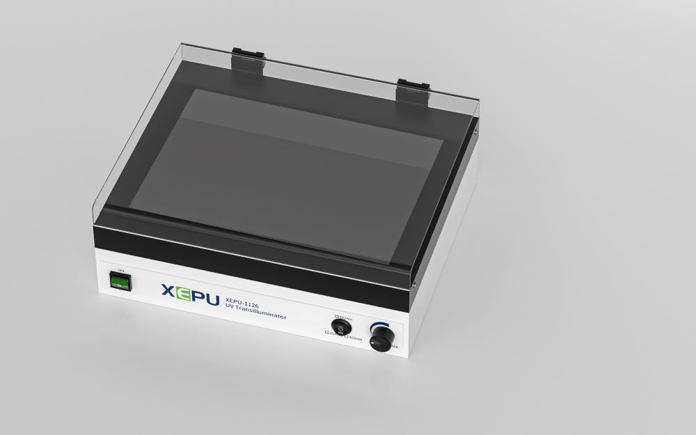 XEPU-1126-府視圖.jpg