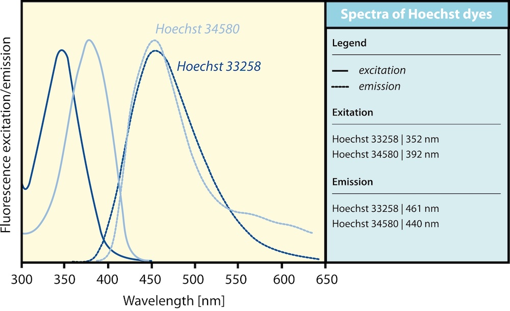 Hoechst的激發(fā)光和發(fā)射光光譜